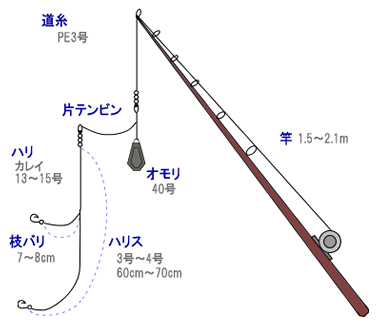 カレイ